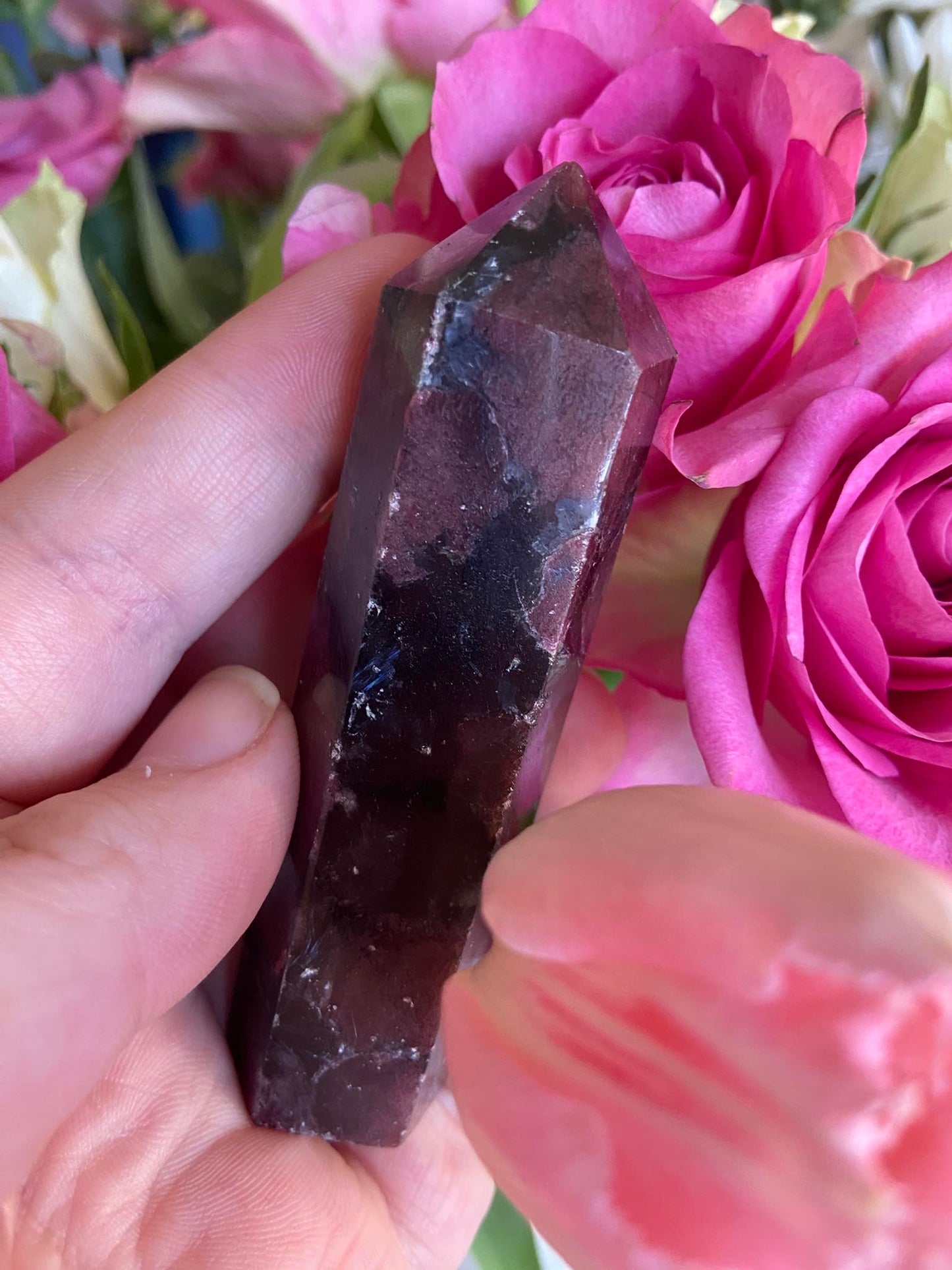 Garnet in Arfvedsonite Tower