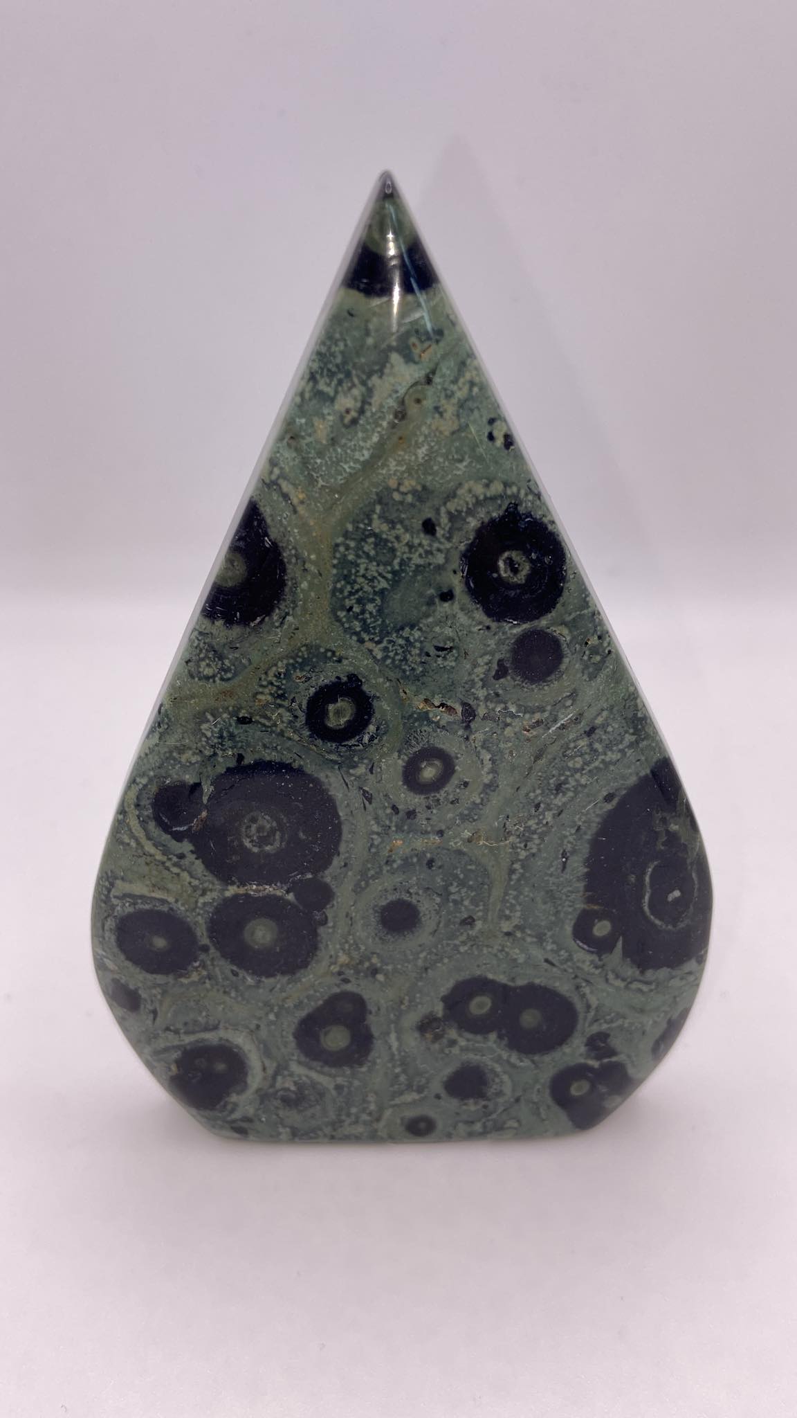 Kambaba Jasper Teardrop Freeform
