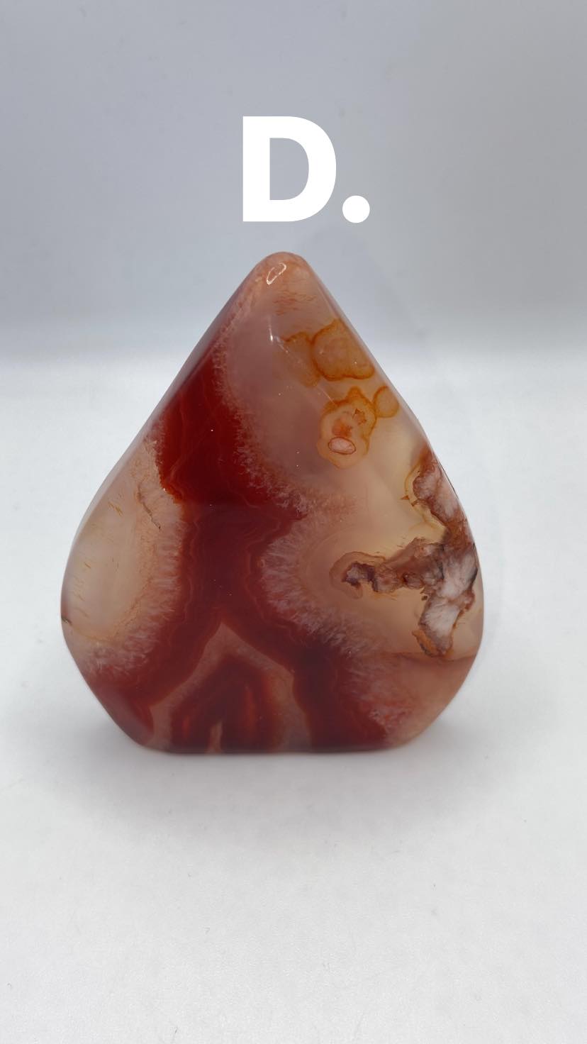 Carnelian Teardrop Freeform