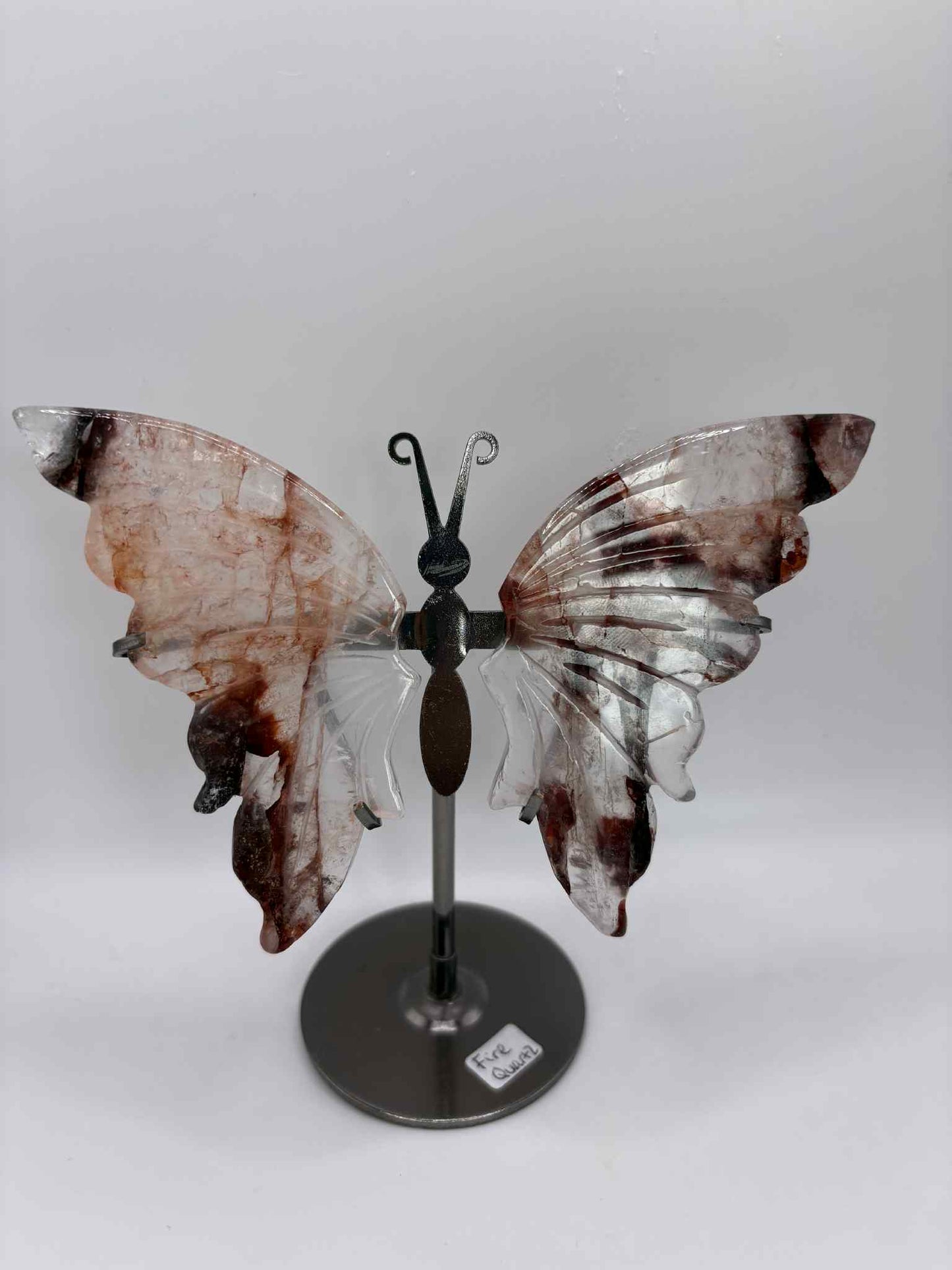 Butterfly Wings