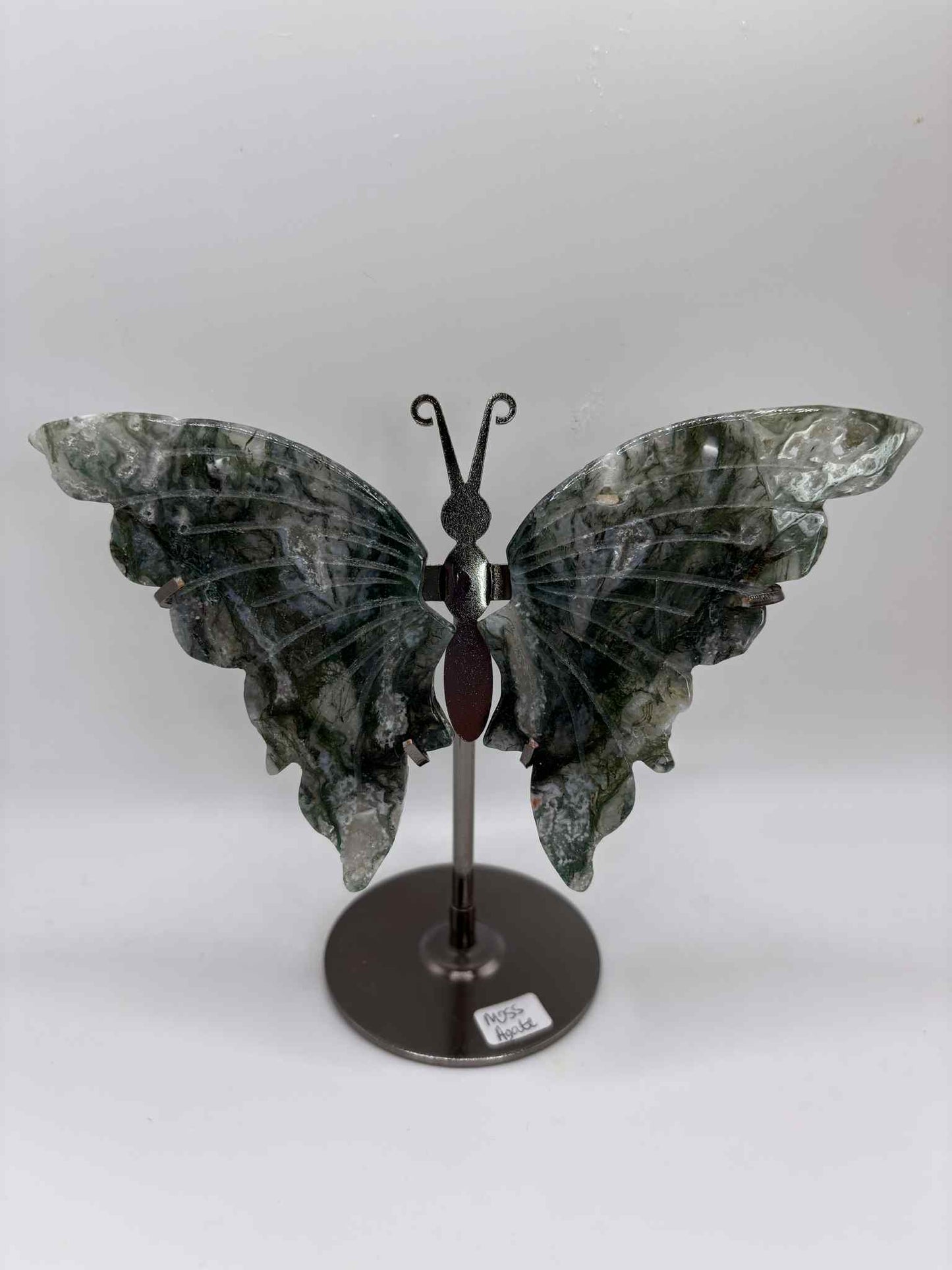 Butterfly Wings