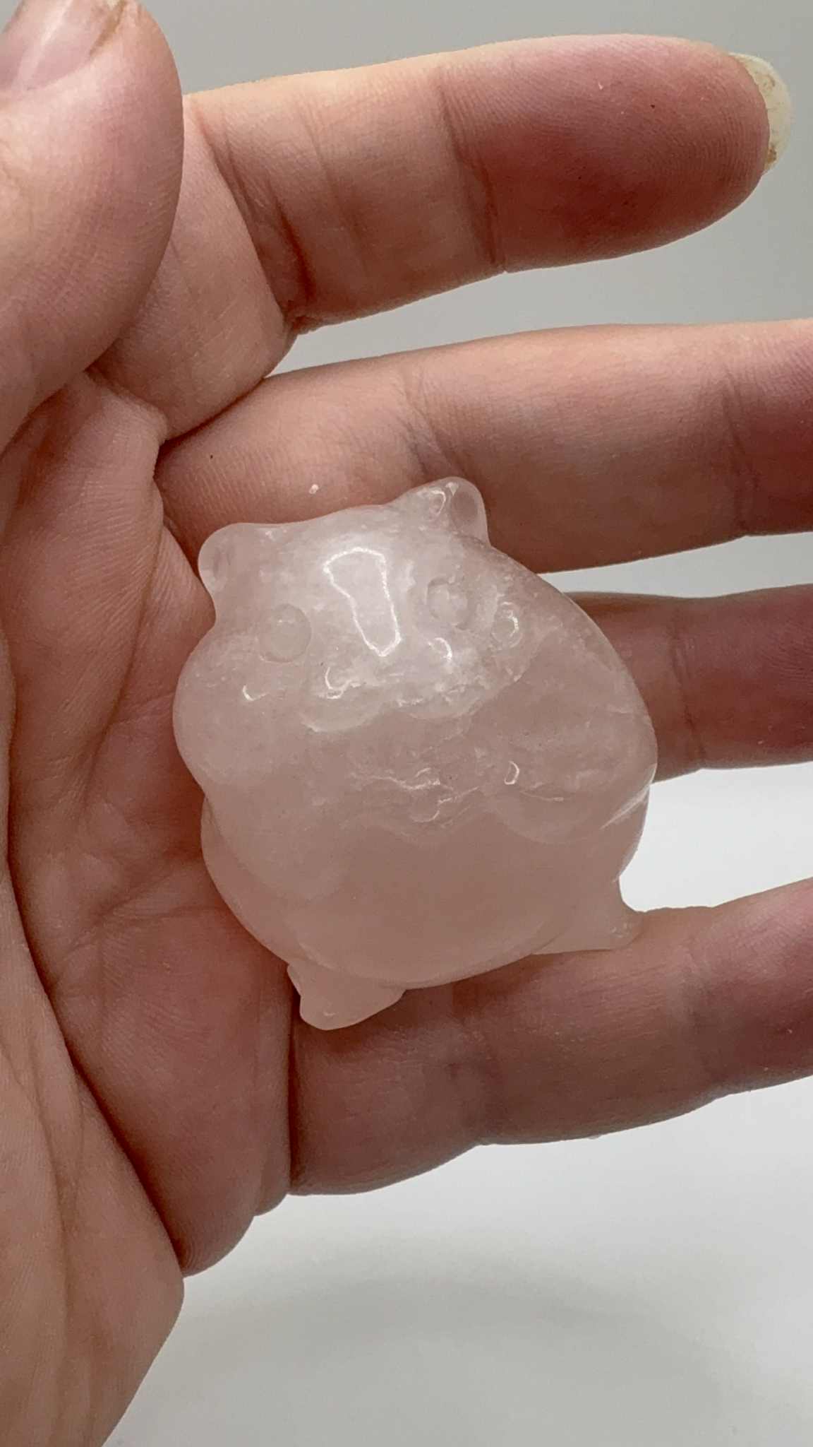 Hamster Carving