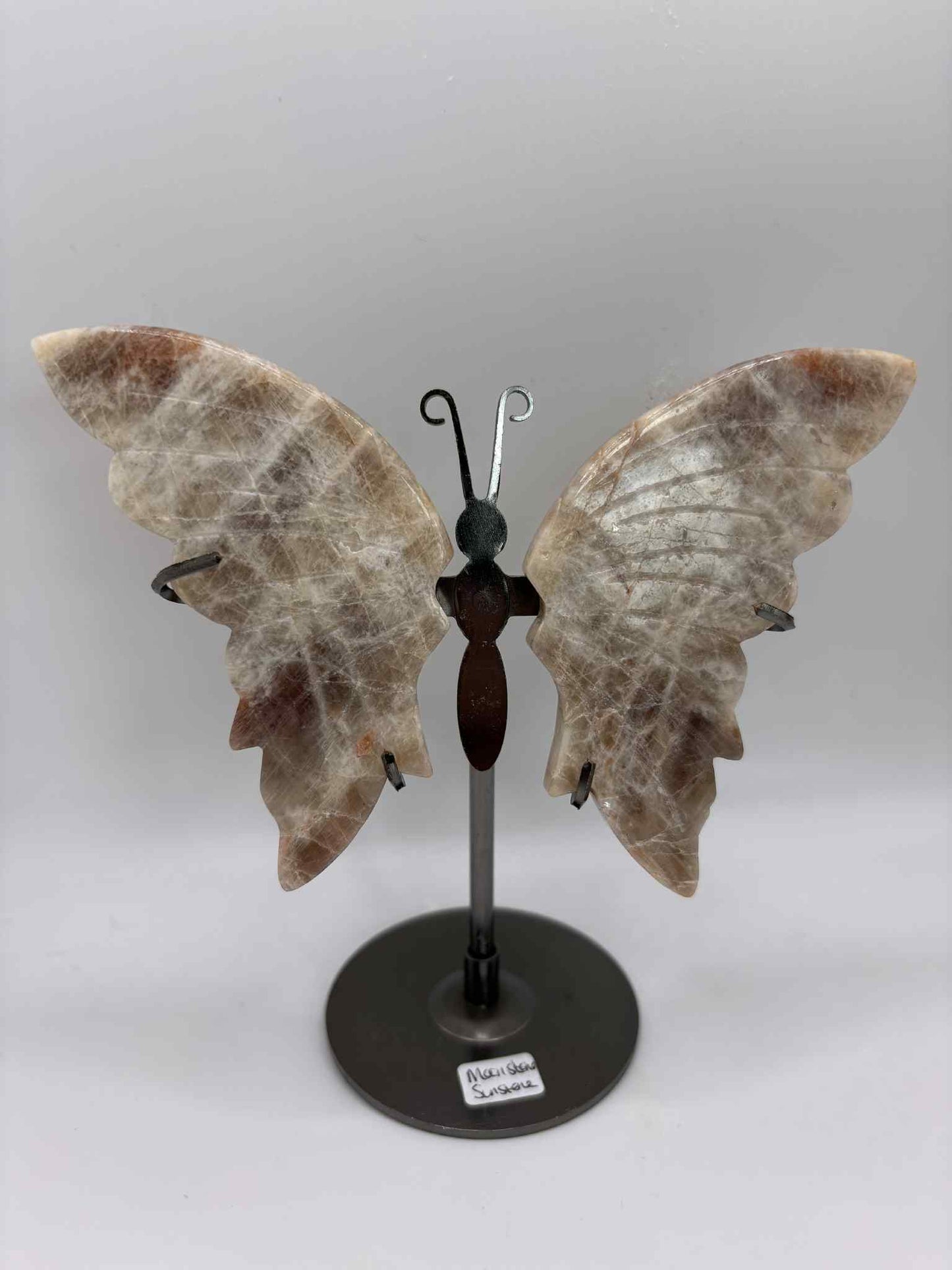Butterfly Wings