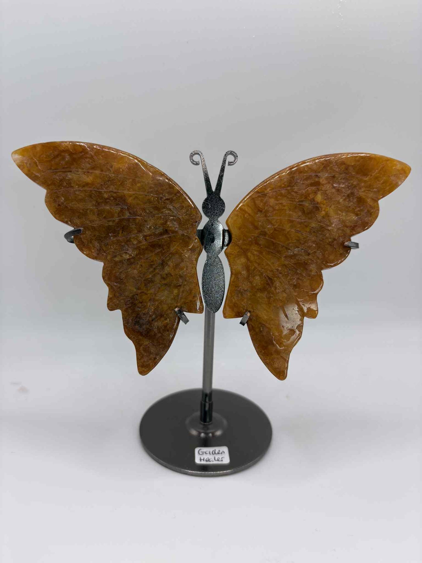 Butterfly Wings