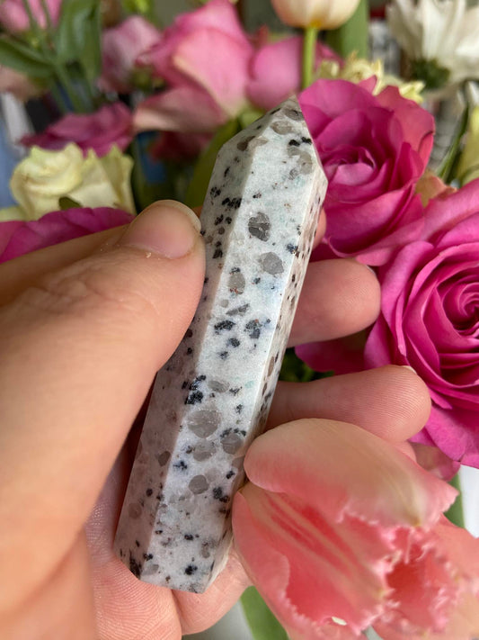Kiwi Jasper Tower