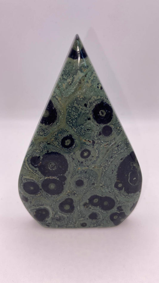 Kambaba Jasper Teardrop Freeform