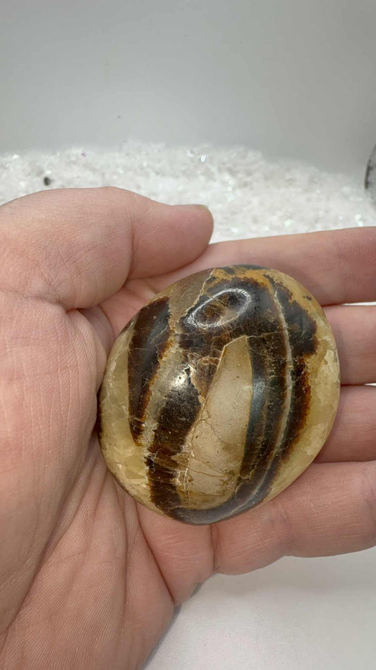 Septarian Palmstone