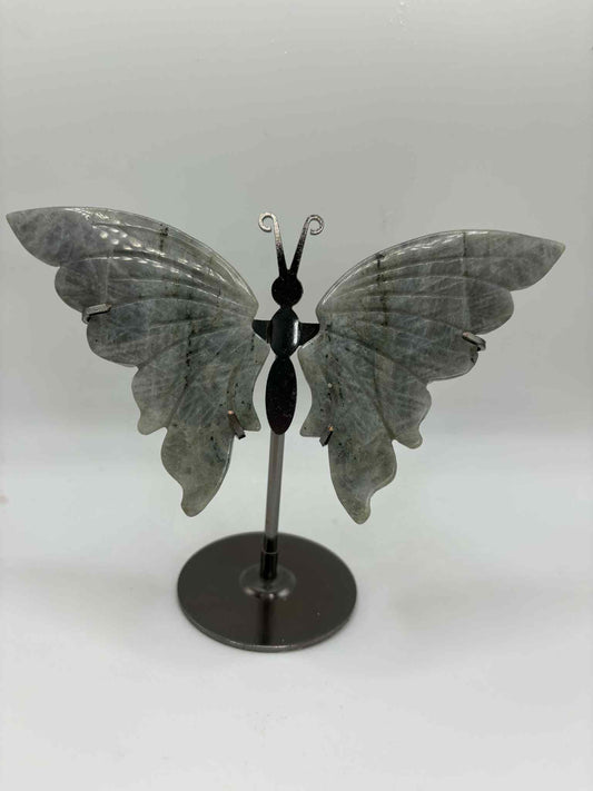 Butterfly Wings